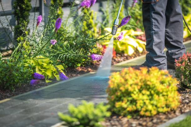 Best Gutter Cleaning  in Half Moon, NC